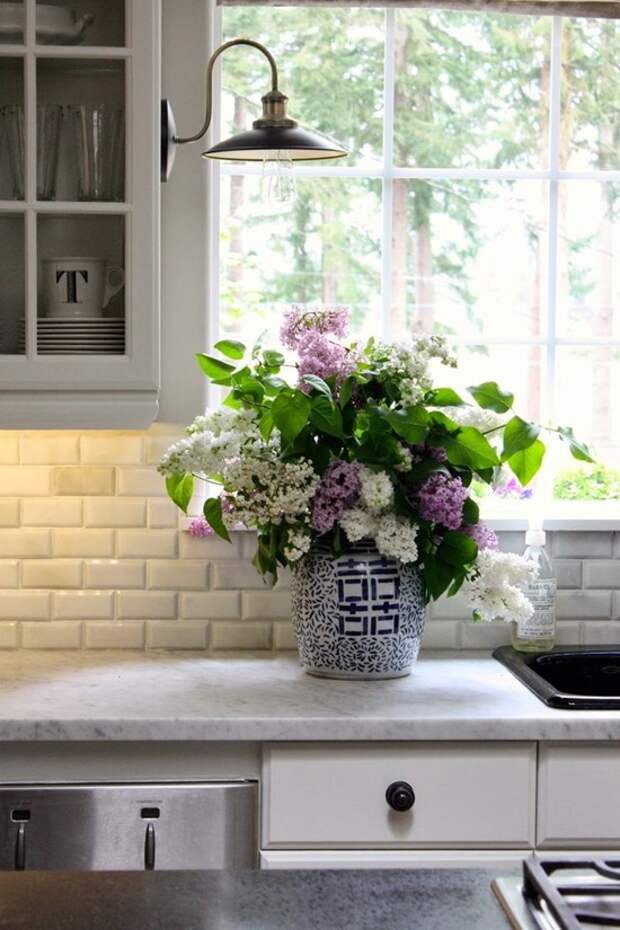 Цветы и растения в интерьере кухни