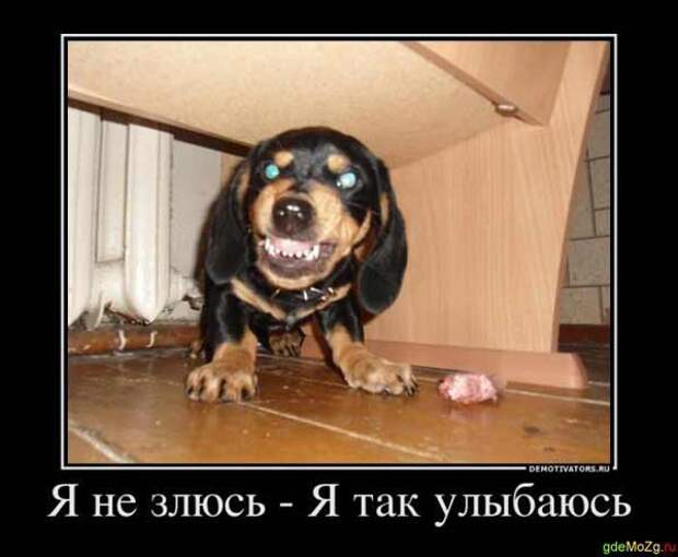 Здравая притча о том, как не обижаться и не злиться/3249162_1353695673_2 (600x494, 83Kb)