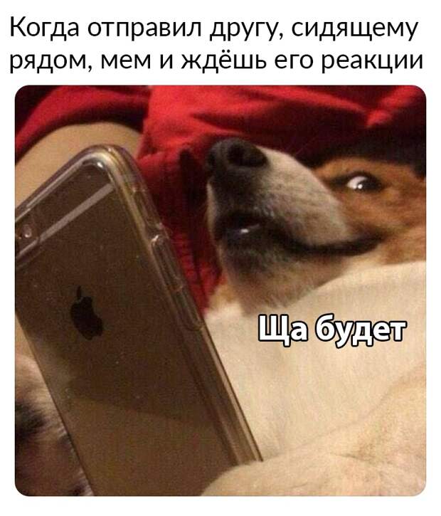 Вечерние приколы Вечерние приколы
