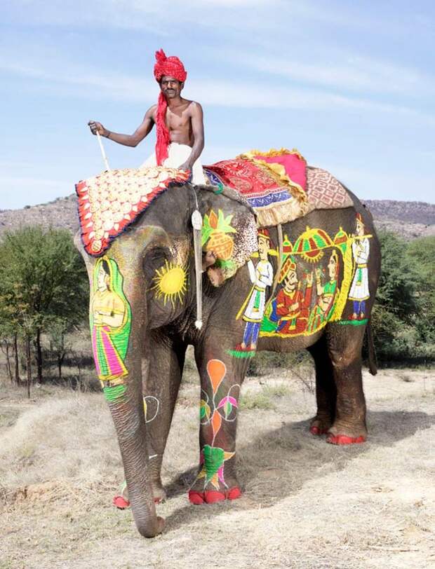 слоновий макияж, макияж слонов, фестиваль раскрашенных слонов, тюнинг слонов