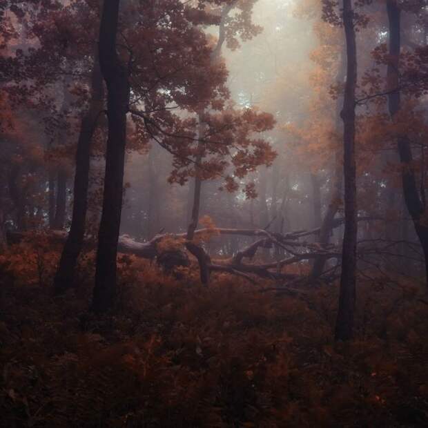 Красивые фотографии чешского фотографа Janek Sedlar