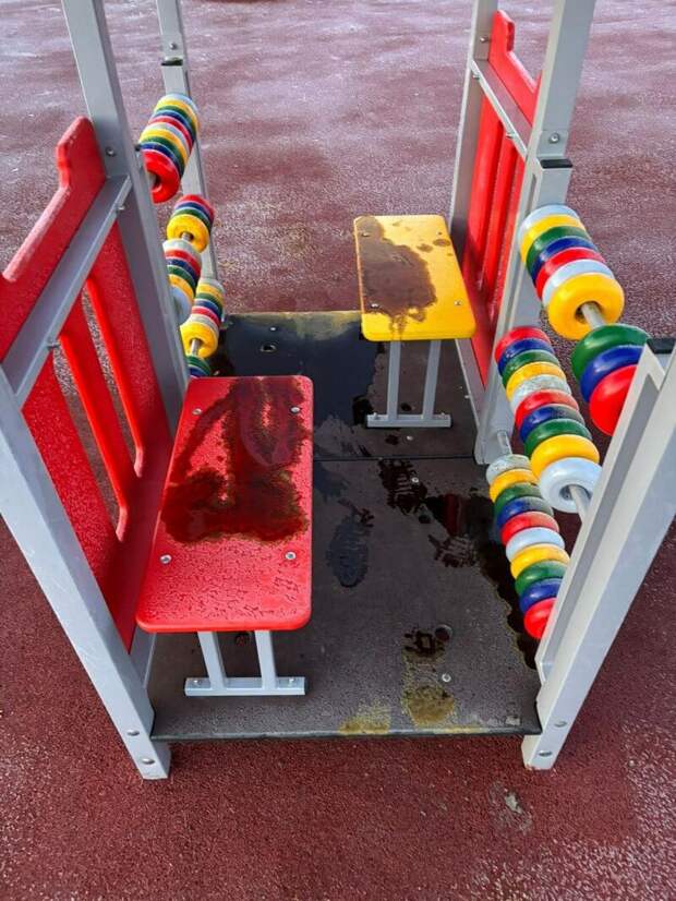 Фото: глава Славгорода Людмила Подгора