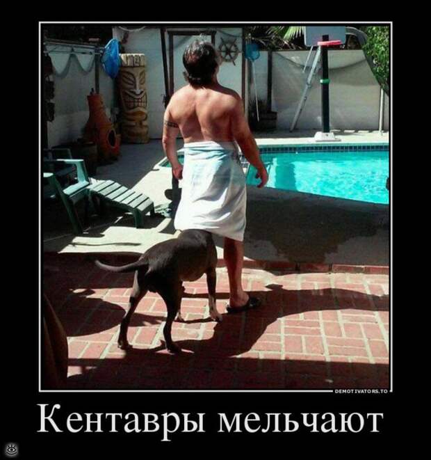 Безвозмездные демотиваторы 16