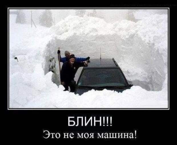 Подборка демотиваторов и просто смешных картинок девушки, демотиваторы, животные, коты, прикол, юмор