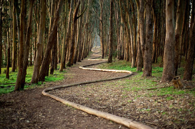 land-art-andy-goldsworthy-26