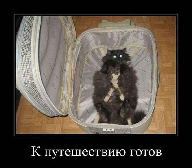 Демотиваторы демотиваторы, прикол, смех, юмор