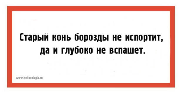 Старый конь борозды не портит. Старый конь борозды не. Пословица старый конь борозды не портит. Конь борозды не портит. Старый конь борозды не портит но и глубоко не вспашет продолжение.