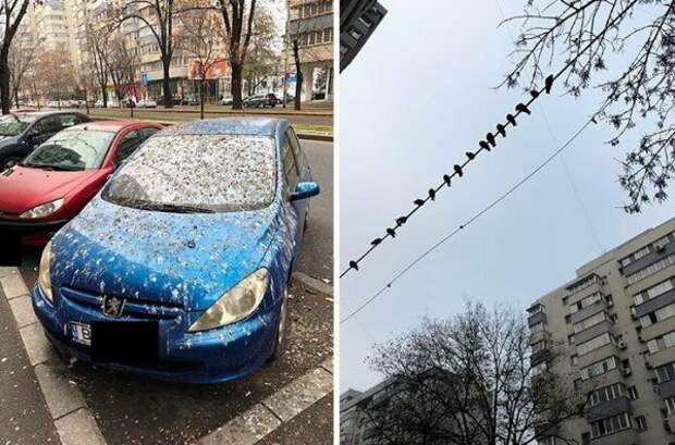 20 человек, которых настиг худший день в их жизни