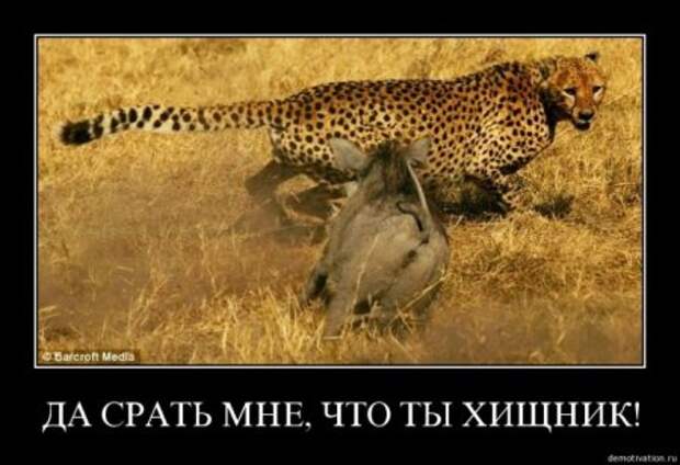 Смешные демы за неделю.