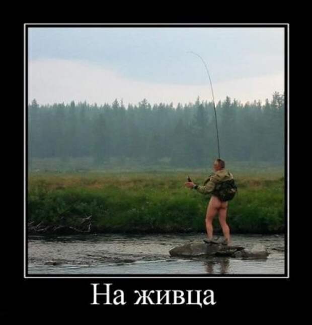 Демки прикольные