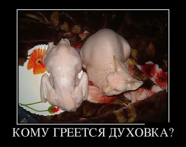 - Человек дал мне визитку: 