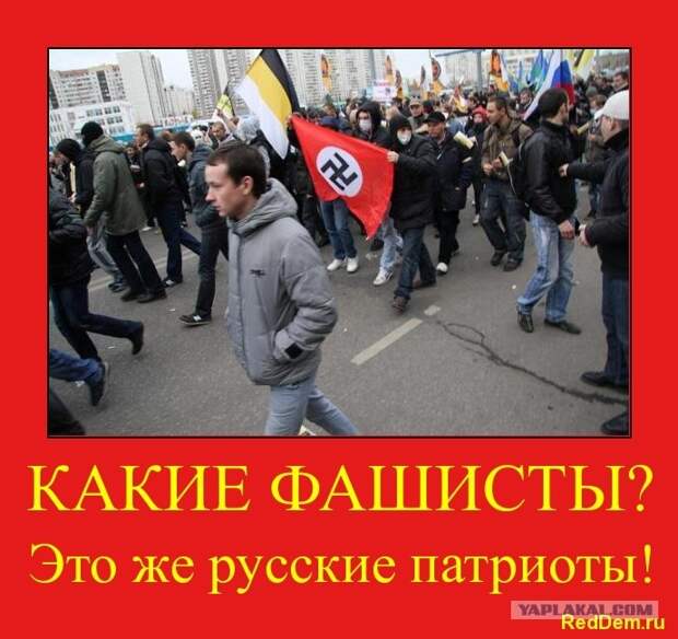 Здоровая Россия: Вор должен сидеть в тюрьме!