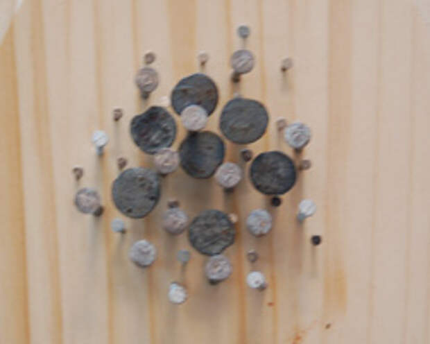 photo of nails