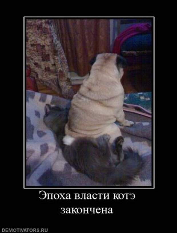 Пятничные демотиваторы новые приколы.