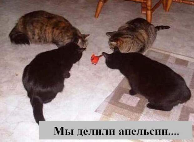 Мысли :) (50мыслей)