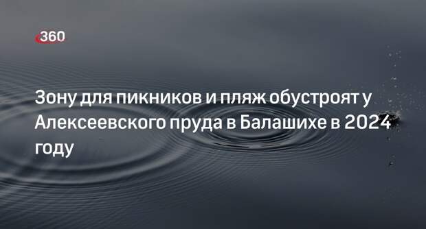 Зону для пикников и пляж обустроят у Алексеевского пруда в Балашихе в 2024 году