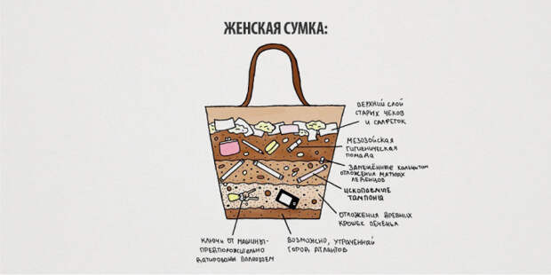 Вся правда о женщинах инфографик