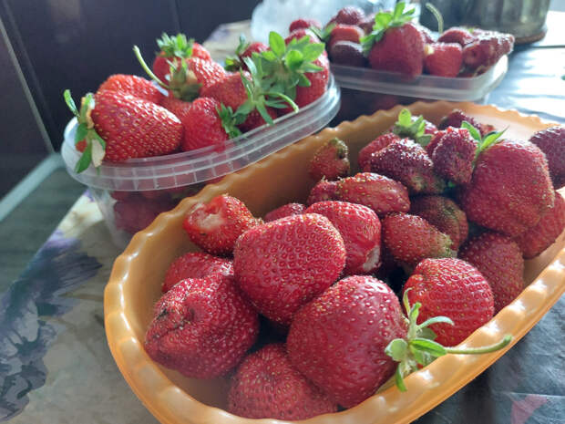 Как проверить апрельскую клубнику на качество и безопасность