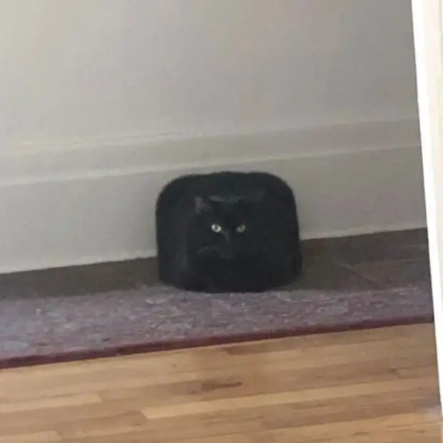 ������� �����, ����� �� ������� ������� ��������