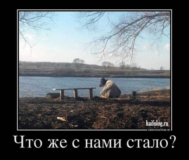 Демотиваторы по-русски - 238 (50 демотиваторов) Демотиваторы по-русски - 238 (50 демотиваторов)