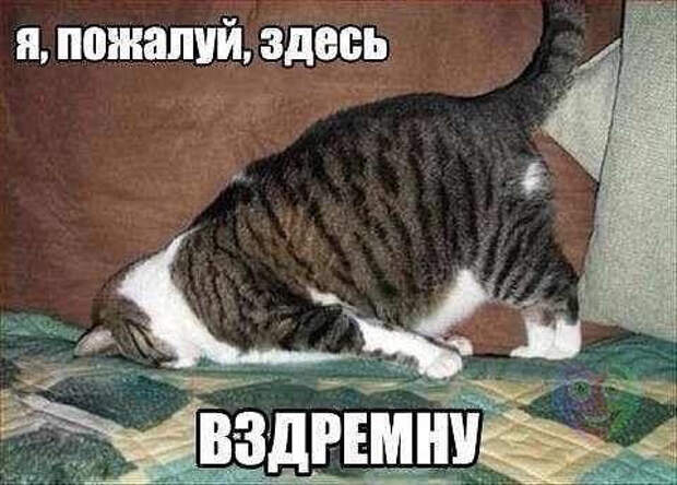 image (480x344, 123Kb)