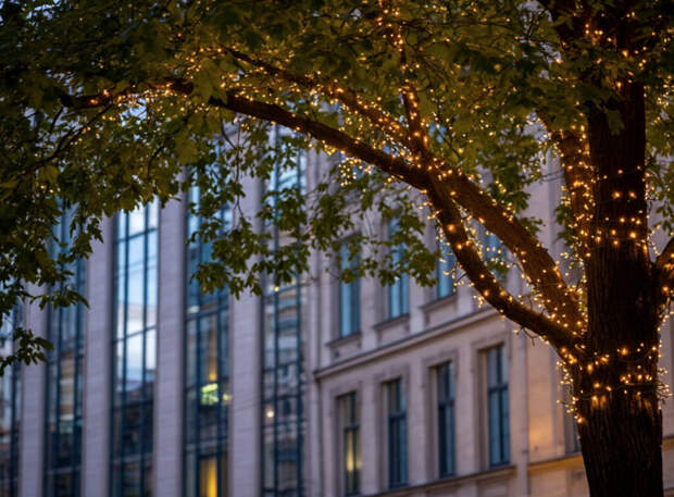 Сквер имени Клименко украсит светодиодная иллюминация