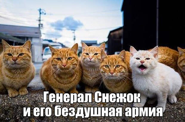 Прикольные картинки. Вечерний выпуск (52 фото)