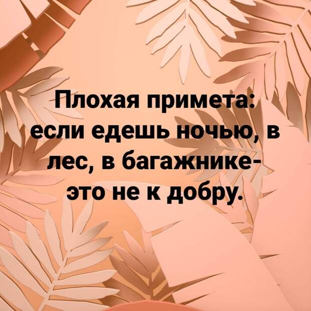 Скачки. Перед началом забегов в конюшню входит инспектор ипподрома и видит...