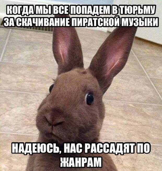30 фраз в картинках, которые зарядят вас юмором на всю неделю