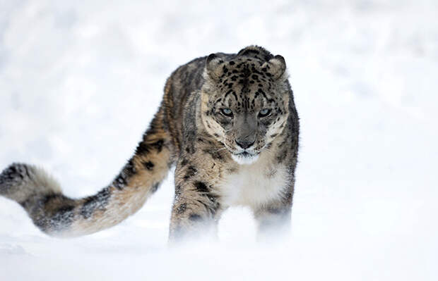 Конкурс фотографий National Geographic Traveler 2015. Часть 2