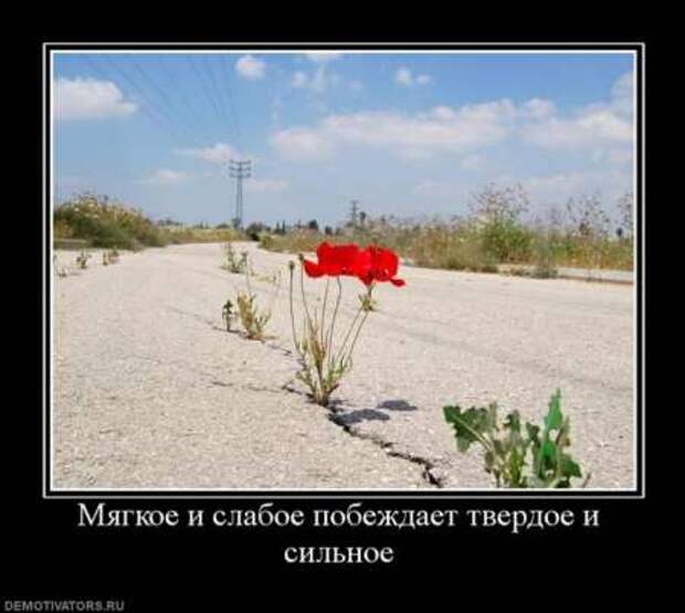Что такое демотиватор? Ответы на сайте!