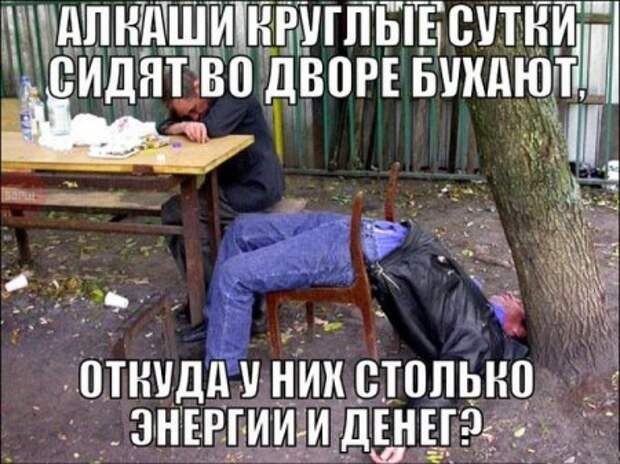 Фото приколы, а с тобой весело.