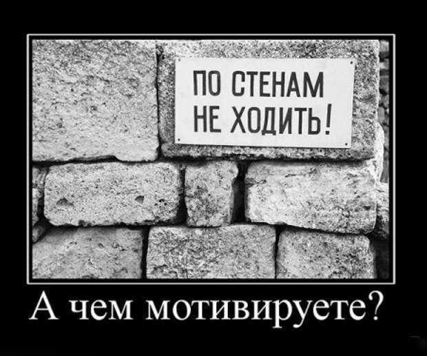 демки веселые.