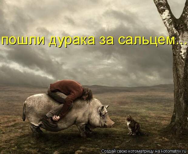 Мысли вслух :)