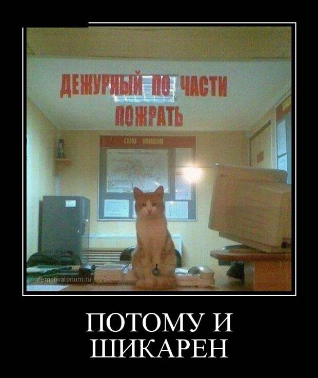 Демотиваторы Демотиваторы демотиваторы, юмор