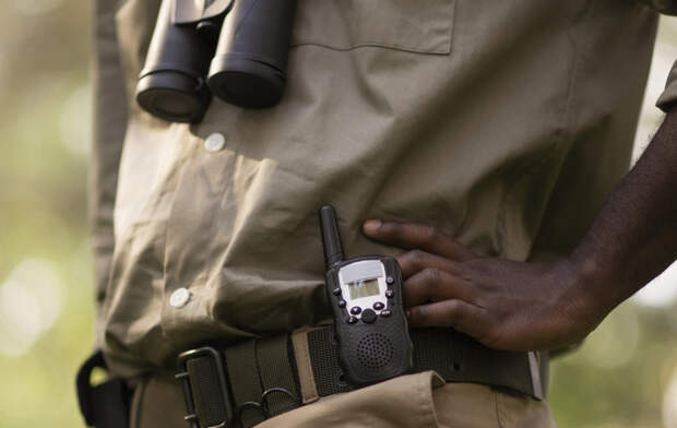 Интерпол подключился к поискам блогера-соблазнителя Люлькова после скандала в Африке