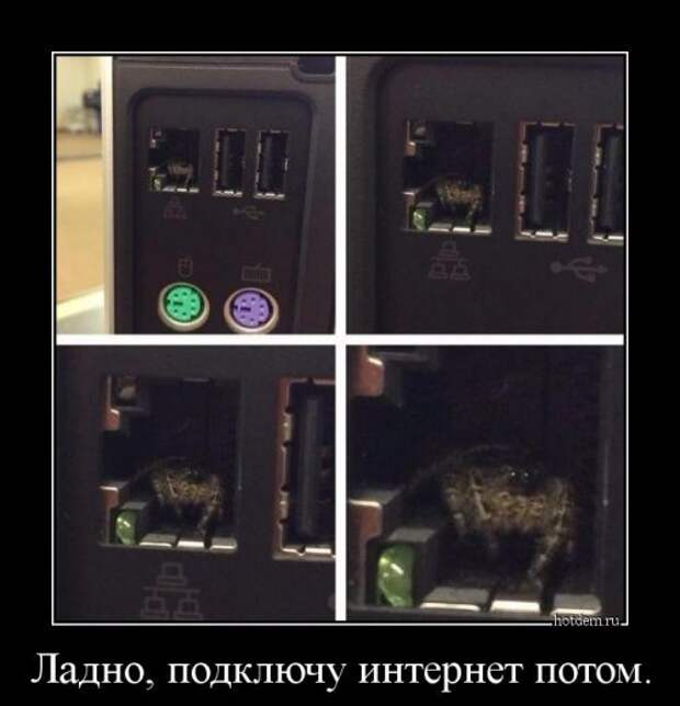 Новые демотиваторы (29 шт)