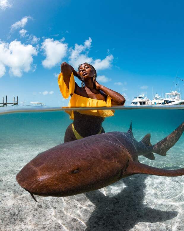 Андре Масгроув (André Musgrove) и его невероятные подводные снимки