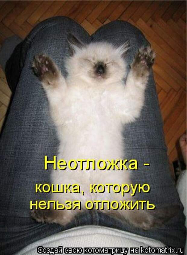 Пускай работает железная пила. Отпустите пораньше с работы пятница же. Непутю мем. Не пущу работать. Двигатель не пускать работают люди.