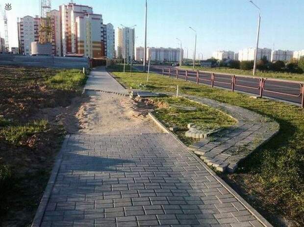 Прикольные и курьёзные картинки 20