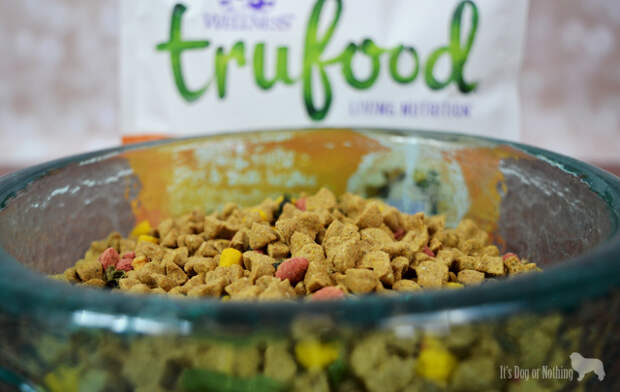 Wellness TruFood