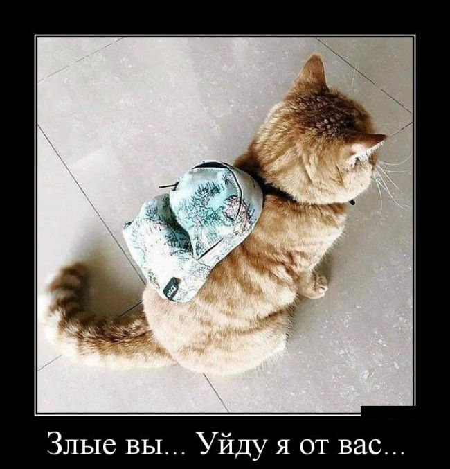 Демотиваторы (30 фото)