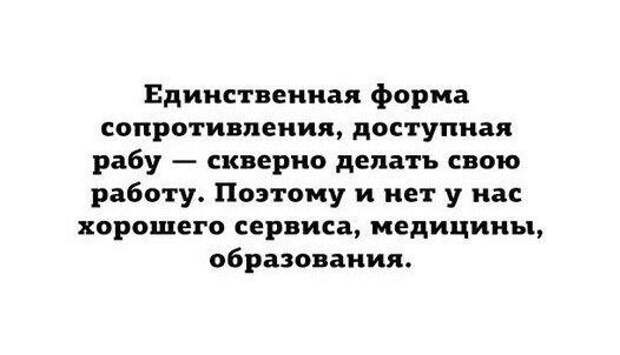 В точку! Только отборные цитаты