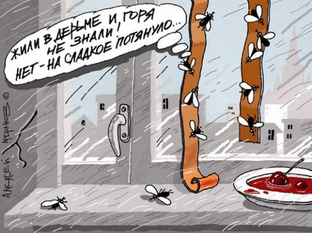 Карикатуры