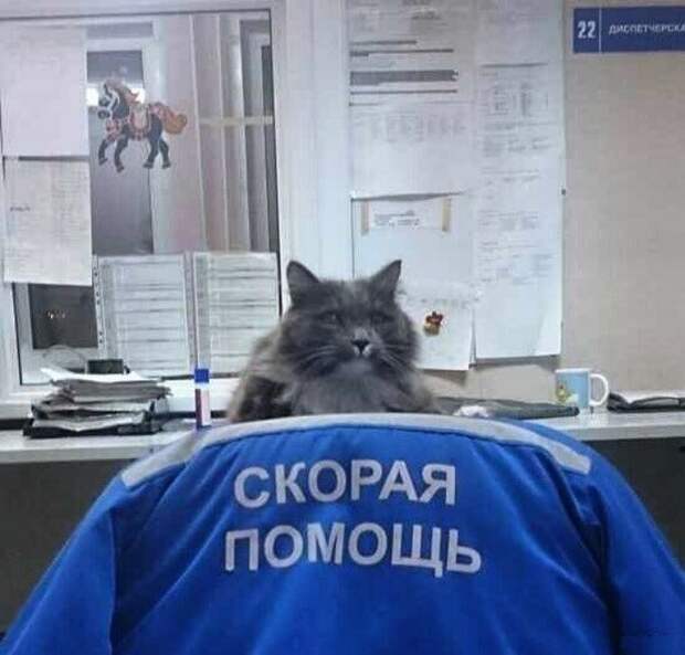 14 странных ситуаций, которые могли произойти только в больнице