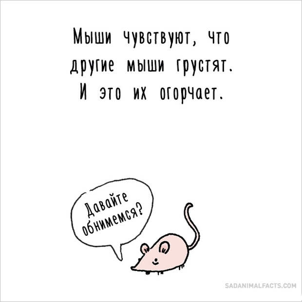 печальные факты о животных 
