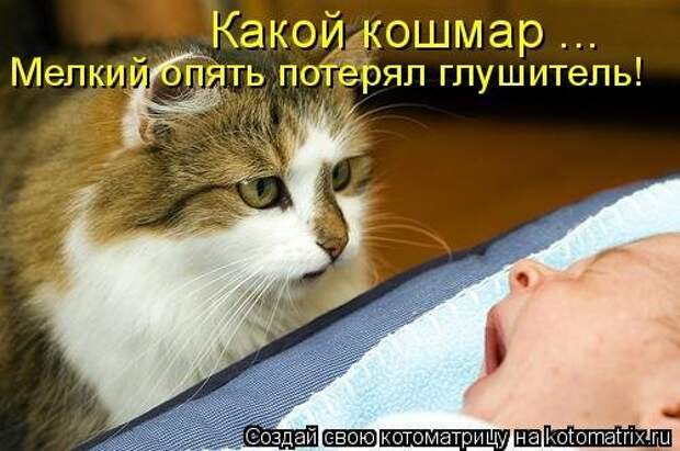 Ходячие котоматрицы. Няшные котейки Ходячие котоматрицы. Няшные котейки
