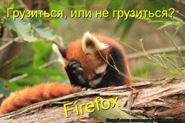 Котоматрица, прикольные коты с надписями.