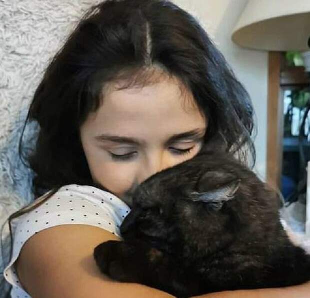 Кот и девочка Девочка и кот