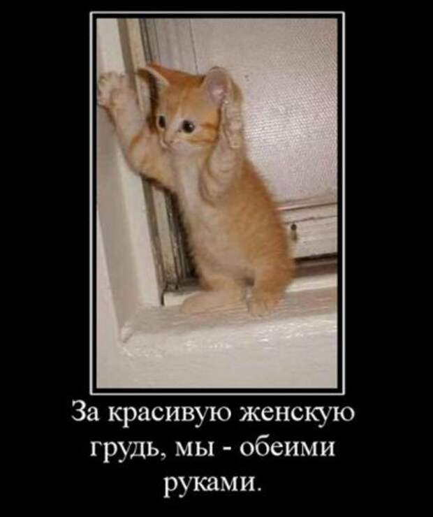 Пятничные демотиваторы новые приколы.